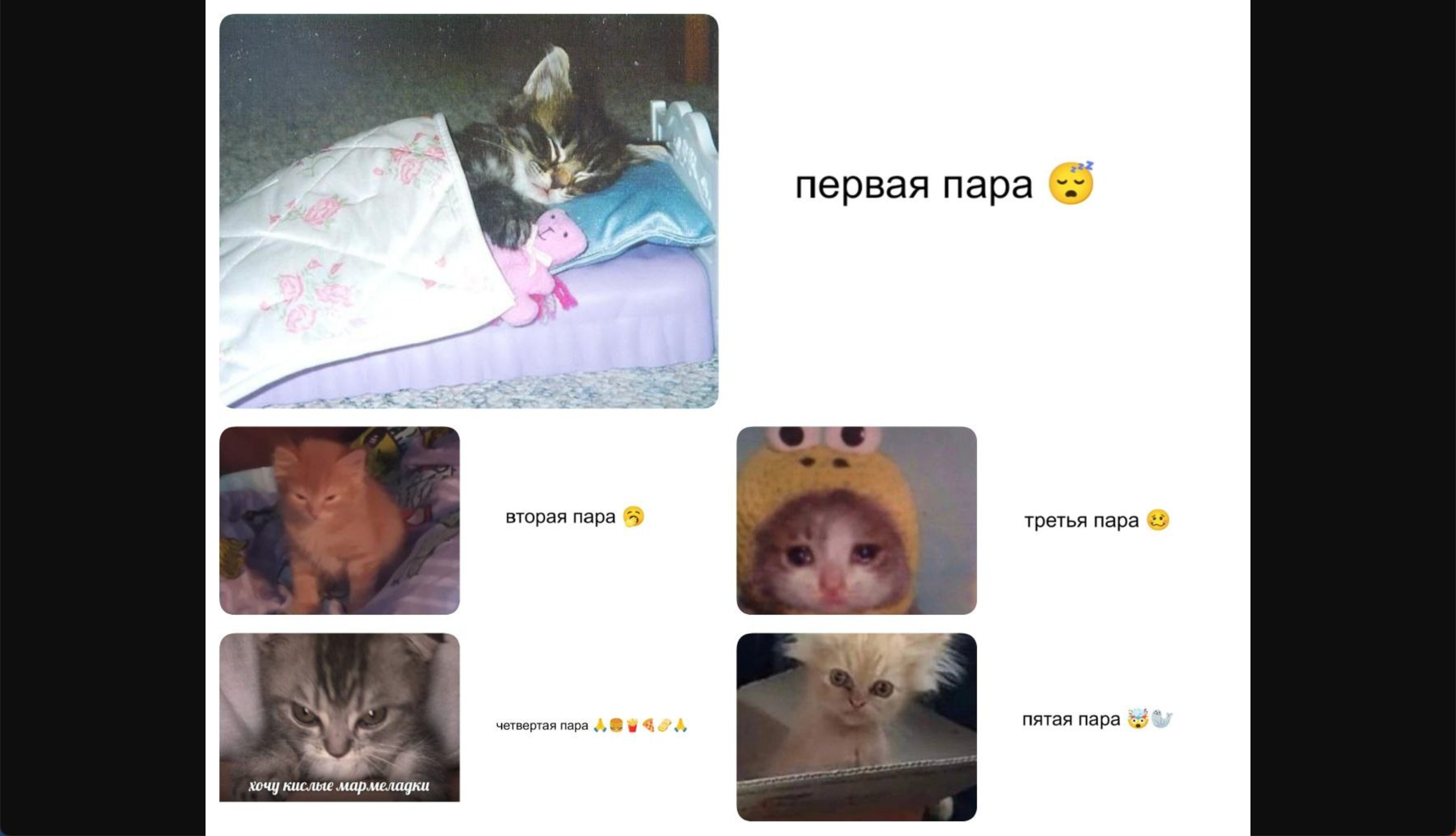 Изображение-image-5ea22d32bf1e92abe9c9efb04bbdfc9e81696361-2940x1688-png