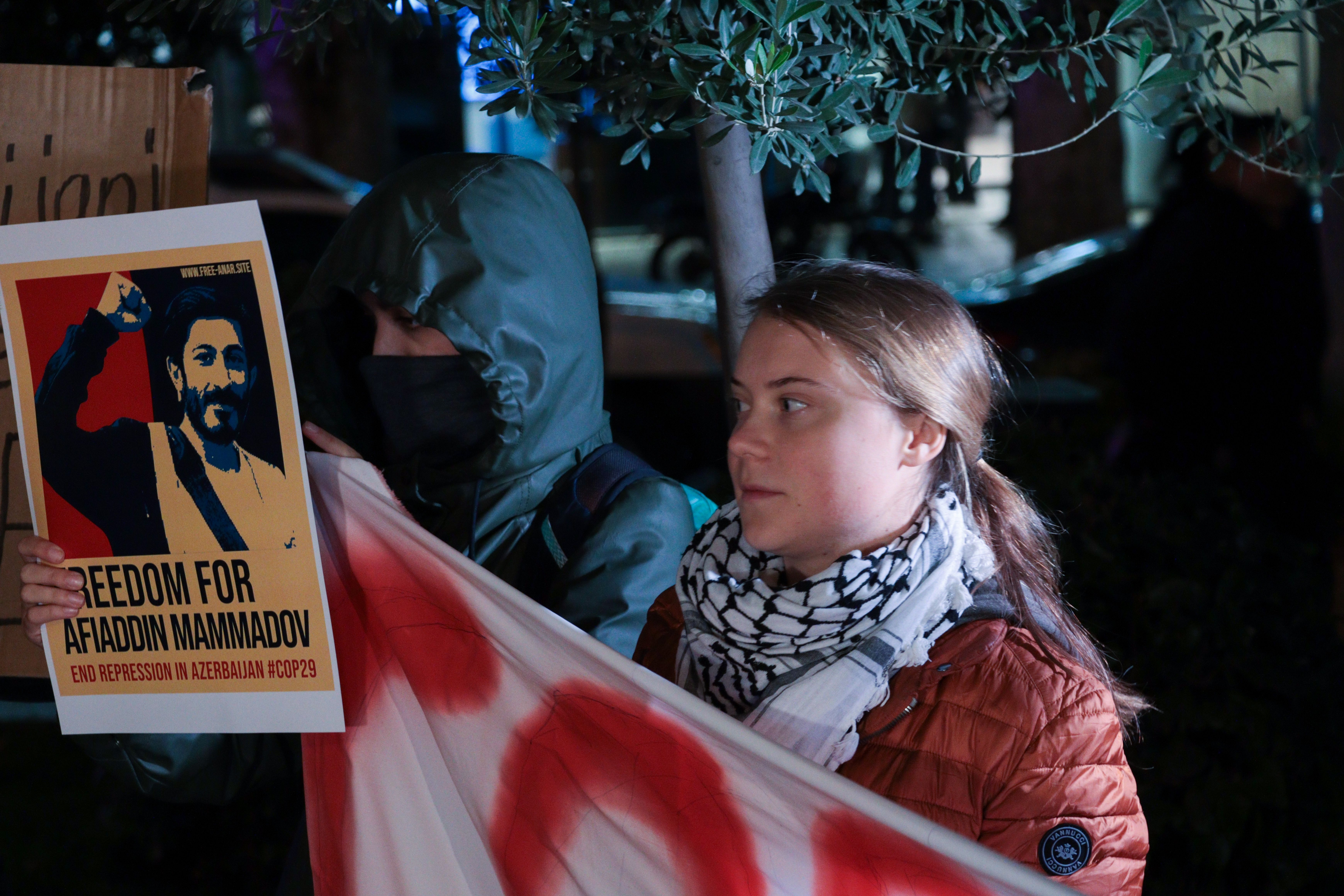 Грета Тунберг на акции протеста против COP 29 в Тбилиси