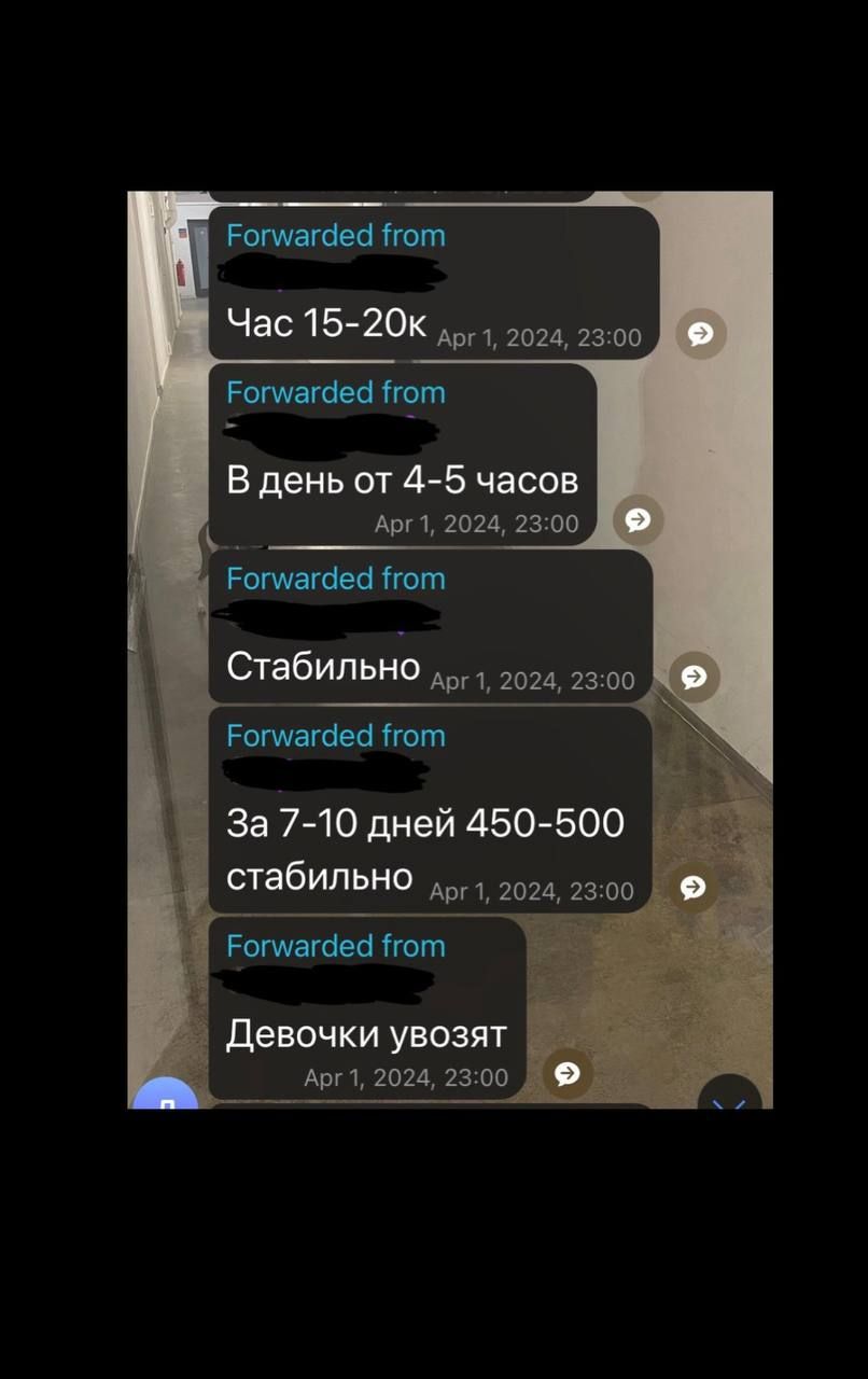 Сообщения в чате секс-работниц
