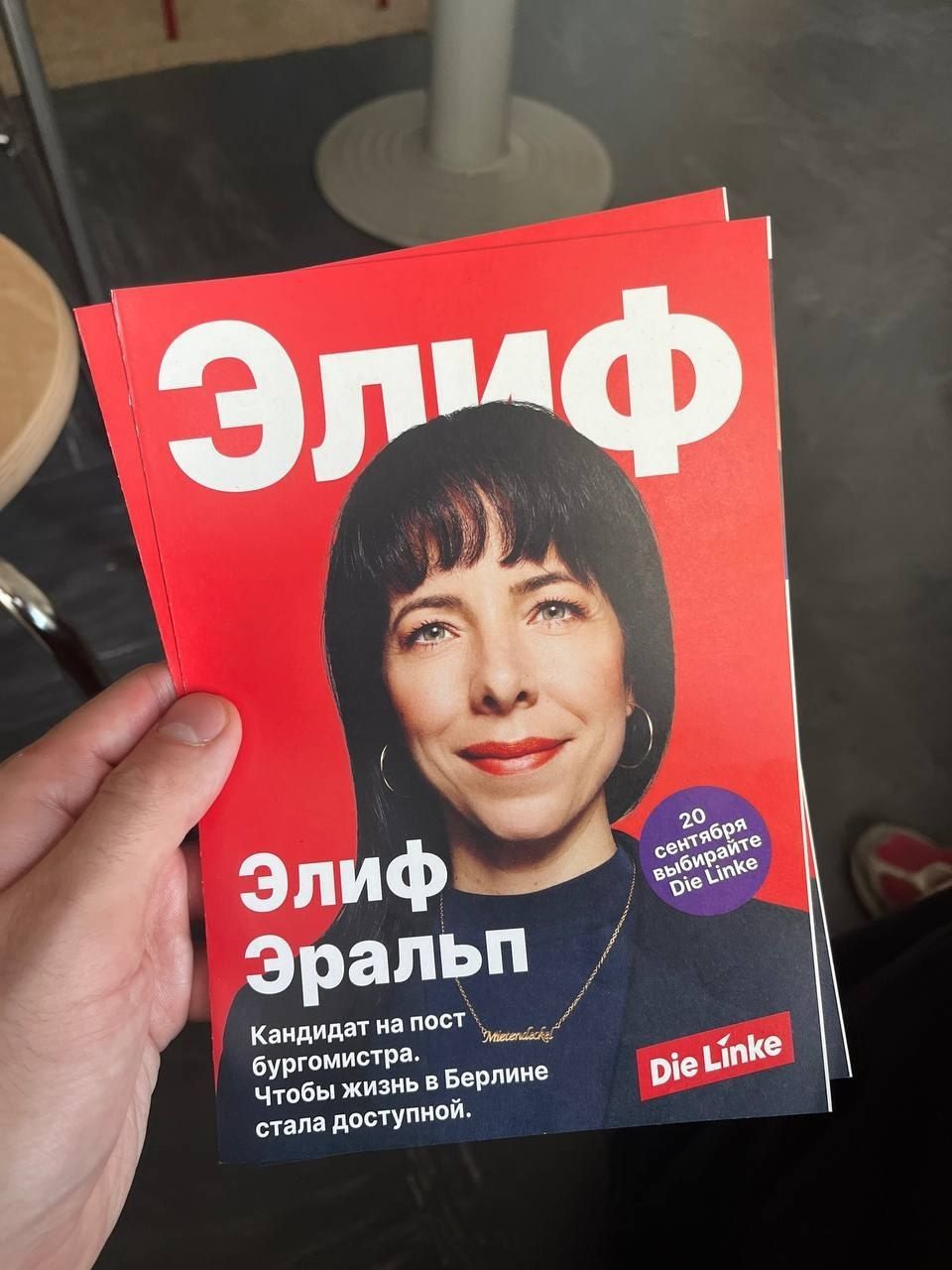 Листовки Die Linke