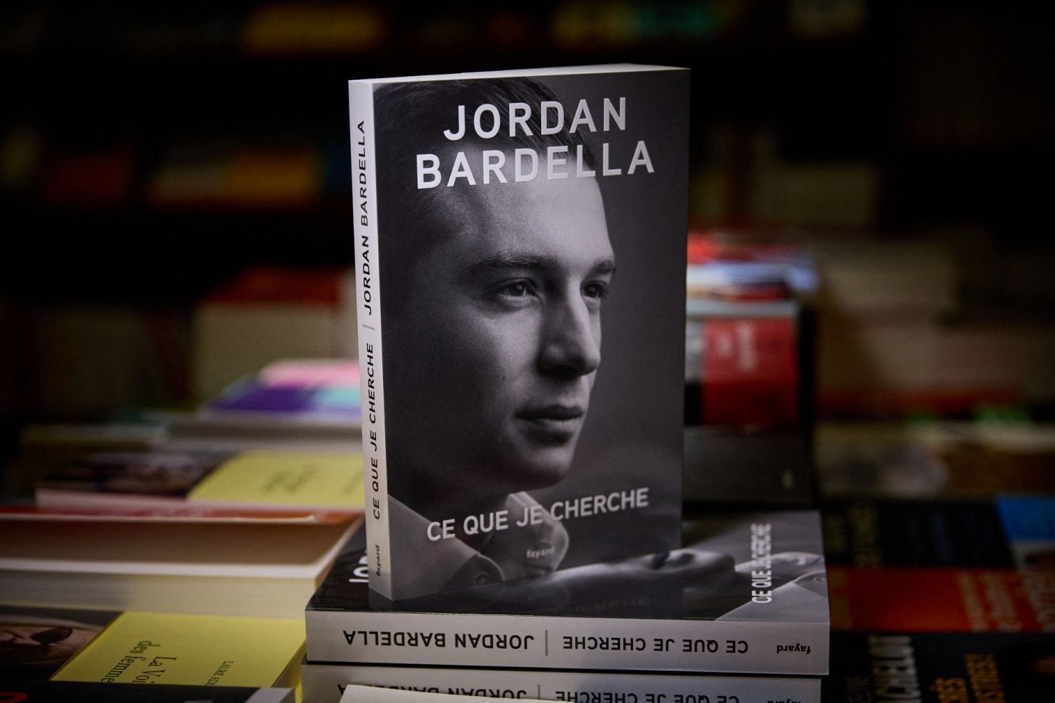 Автобиографическая книга «Ce que je cherche» («То, что я ищу») Жордана Барделлы